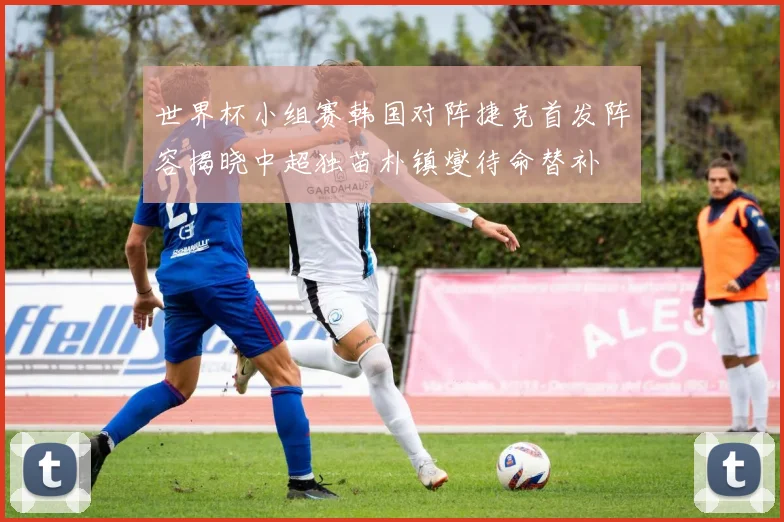 世界杯小组赛韩国对阵捷克首发阵容揭晓中超独苗朴镇燮待命替补