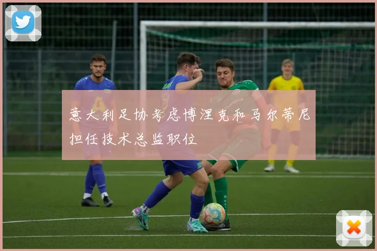 意大利足协考虑博涅克和马尔蒂尼担任技术总监职位